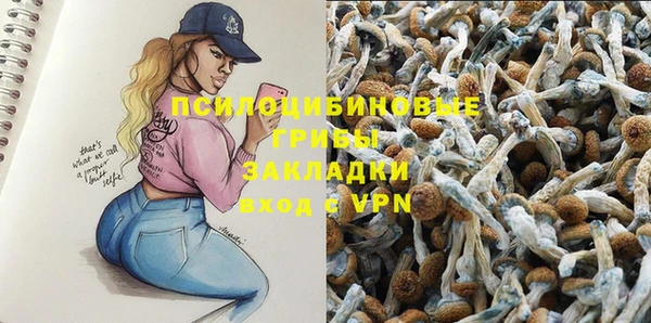 бутират Алексеевка