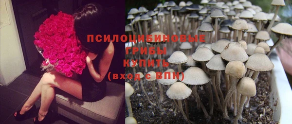 мяу мяу мука Абинск