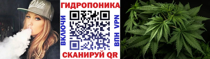 Марихуана VHQ Чкаловск